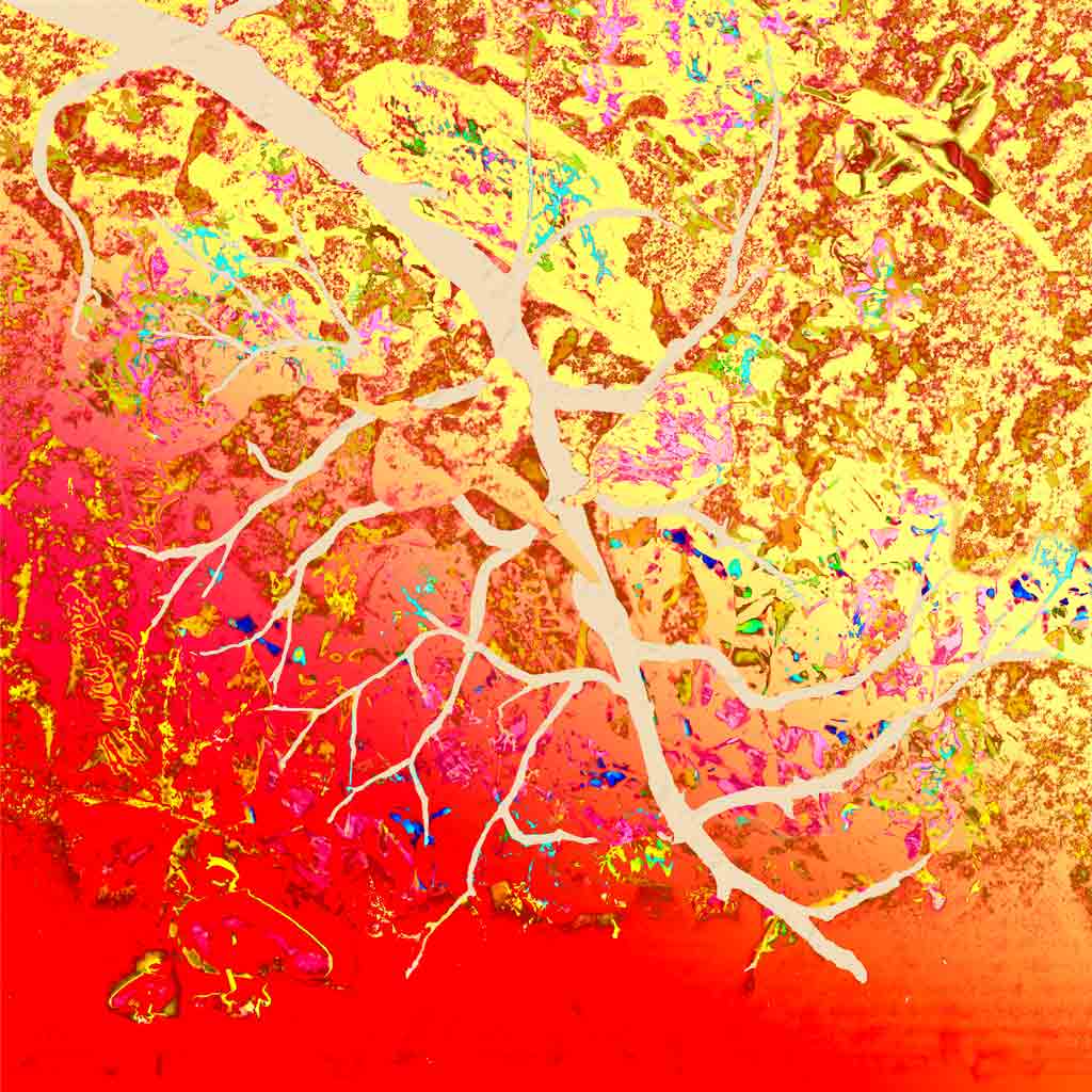 PSYCHEDELIC FOREST (i) Designer Dual Wrap